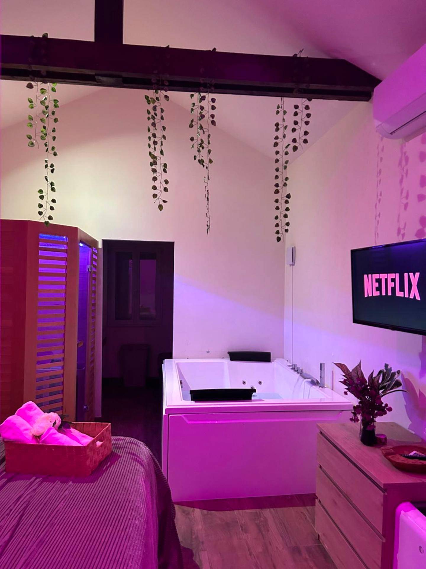 Cygnes en serviettes et jacuzzi sous Netflix - Détente au bord de Forêt avec Spa Balnéo et Sauna PRIVÉ