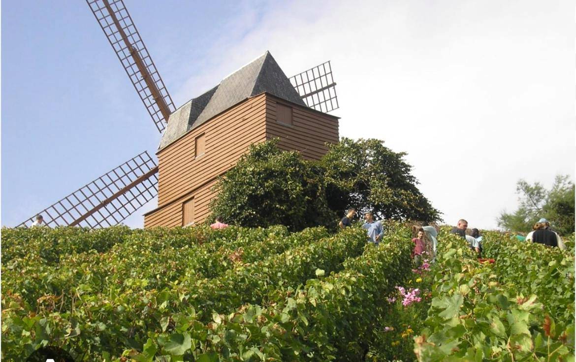 Photo du logement - Détente & Spa