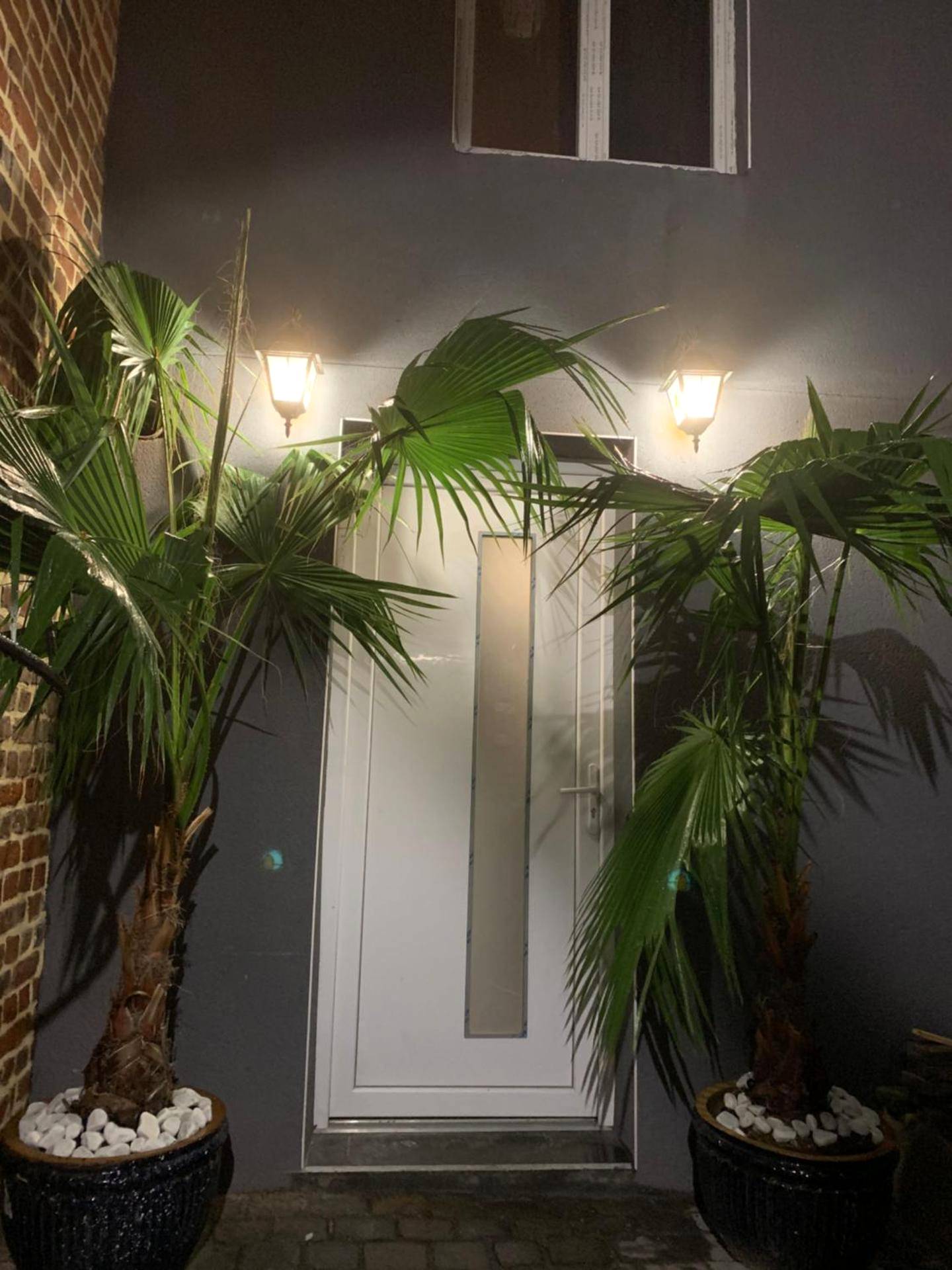 Entrée privative avec palmiers et lanternes - Diane Luxury 2