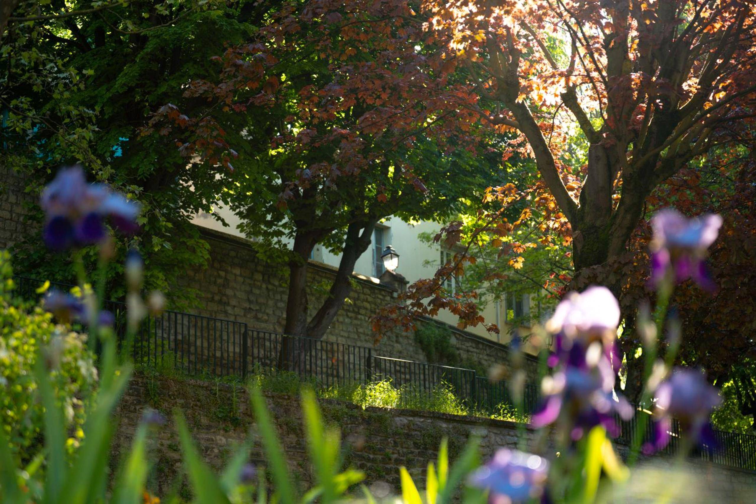 Photo du logement - Divine Couture - Suite Victoire