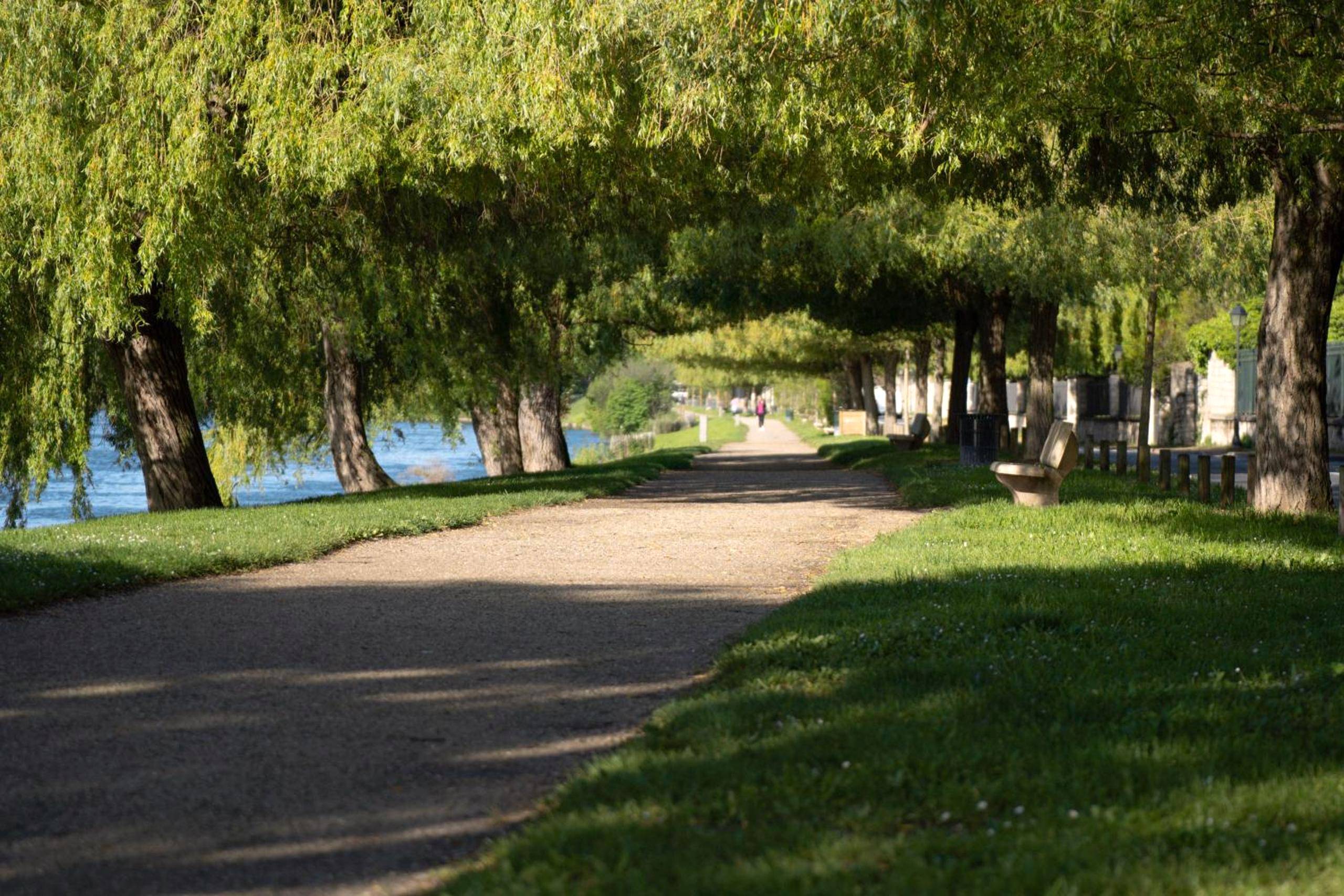 Photo du logement - Divine Couture - Suite Victoire - Carrières - sur - Seine