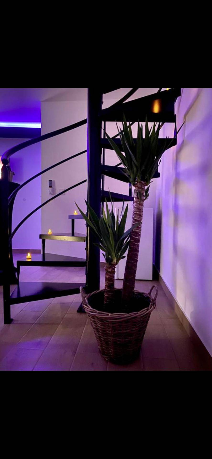 Photo du logement - Dm cocooning - Richemont