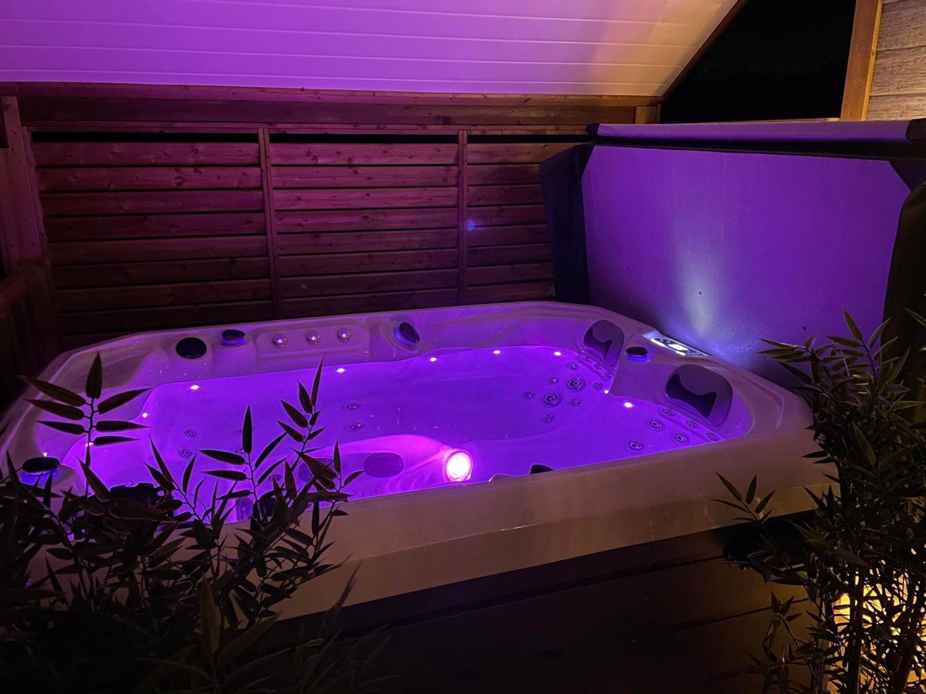 Bain à remous intérieur aux lumières violettes - Domaine les 2 Mondes