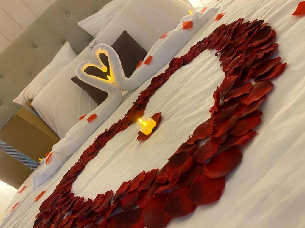 Photo du logement - Domaine les 2 Mondes