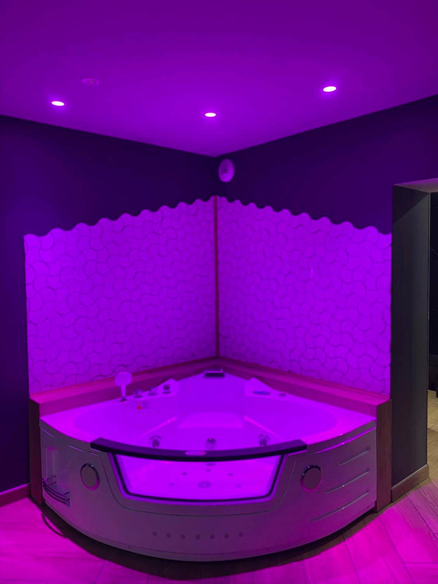 Photo du logement - Domaine du Saugé - La Riche