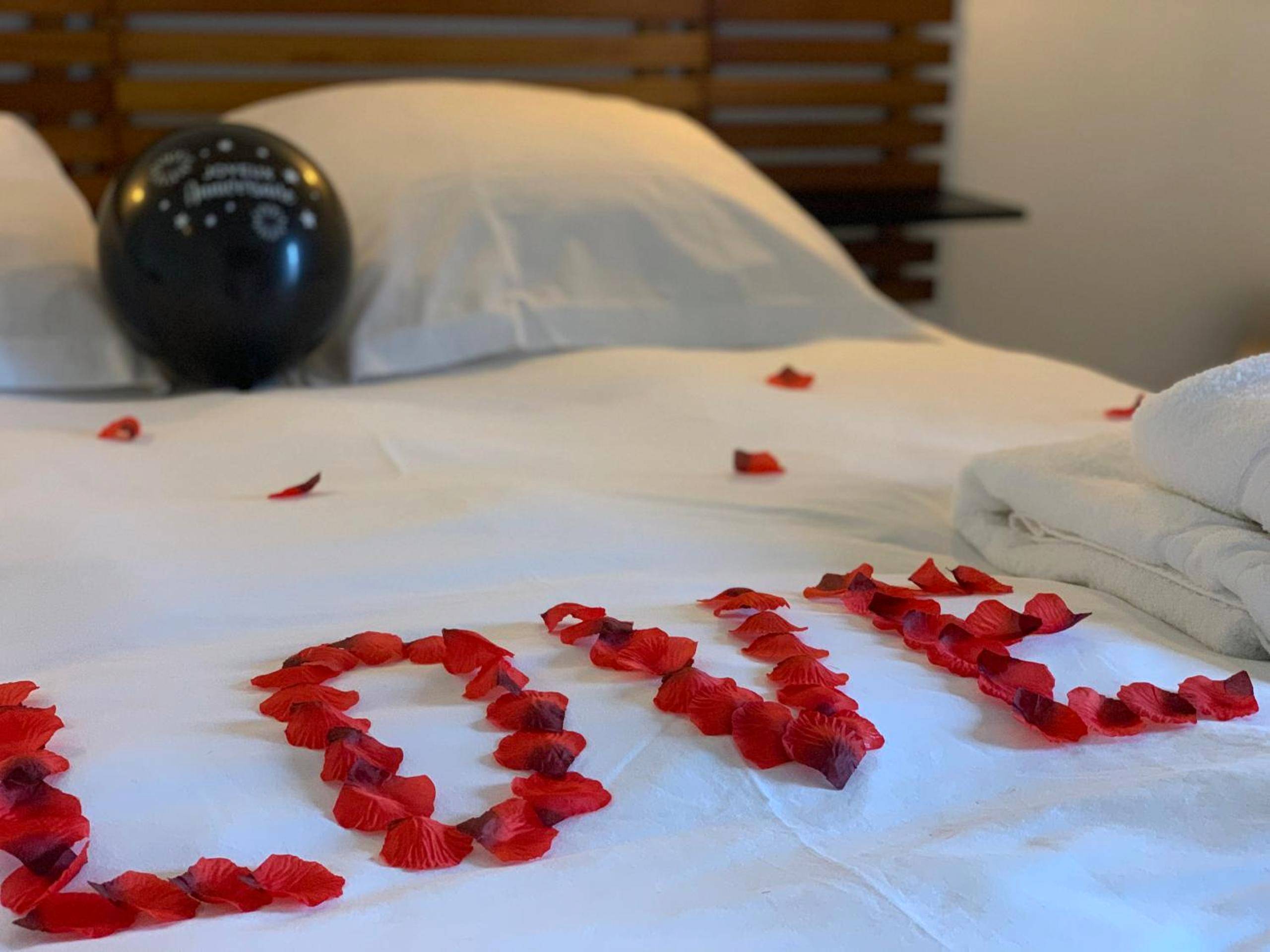 Photo du logement - Le Domaine des Songes