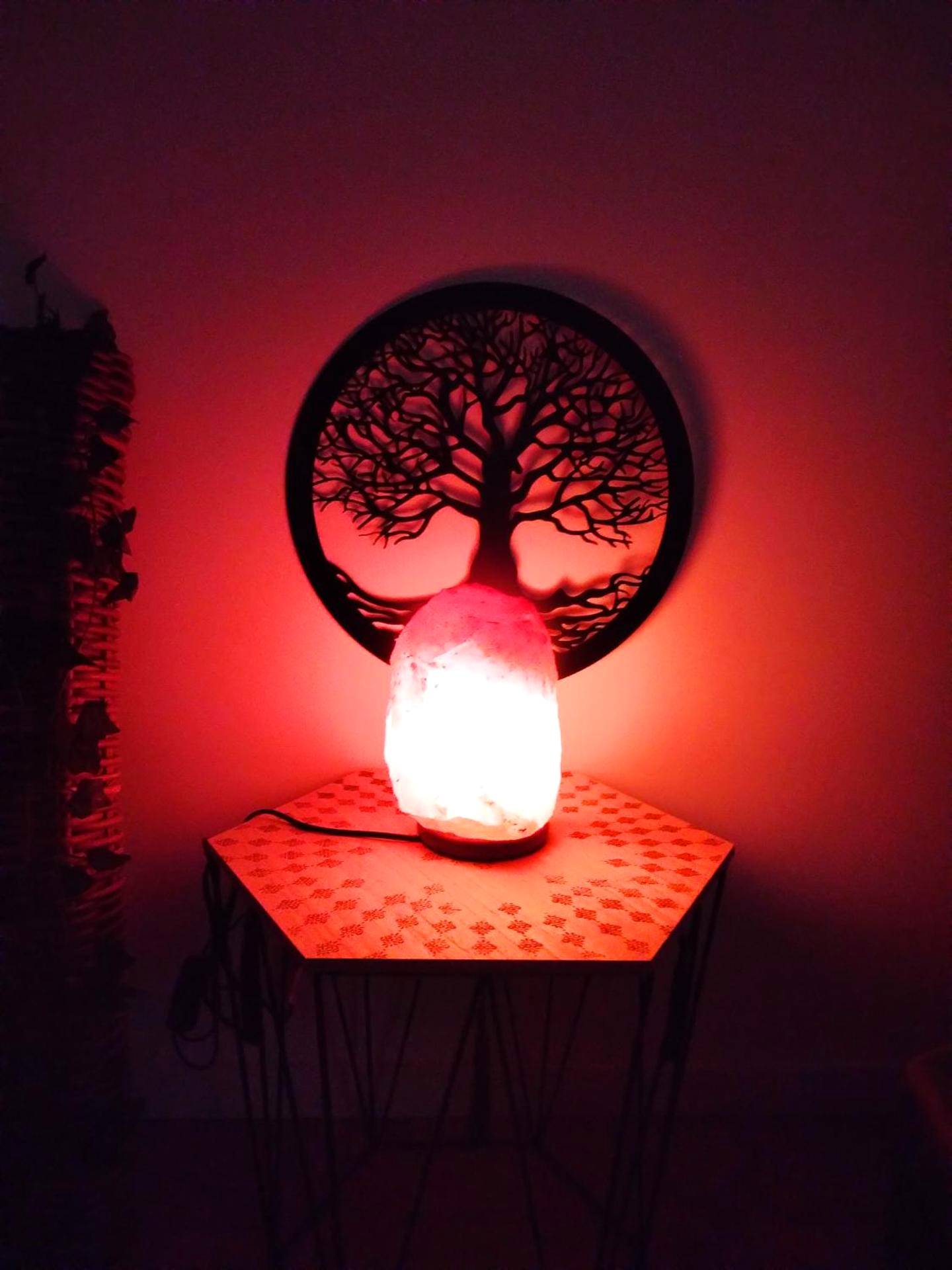 Photo du logement - Maison Prestige Le Donjon des Plaisirs Jacuzzi