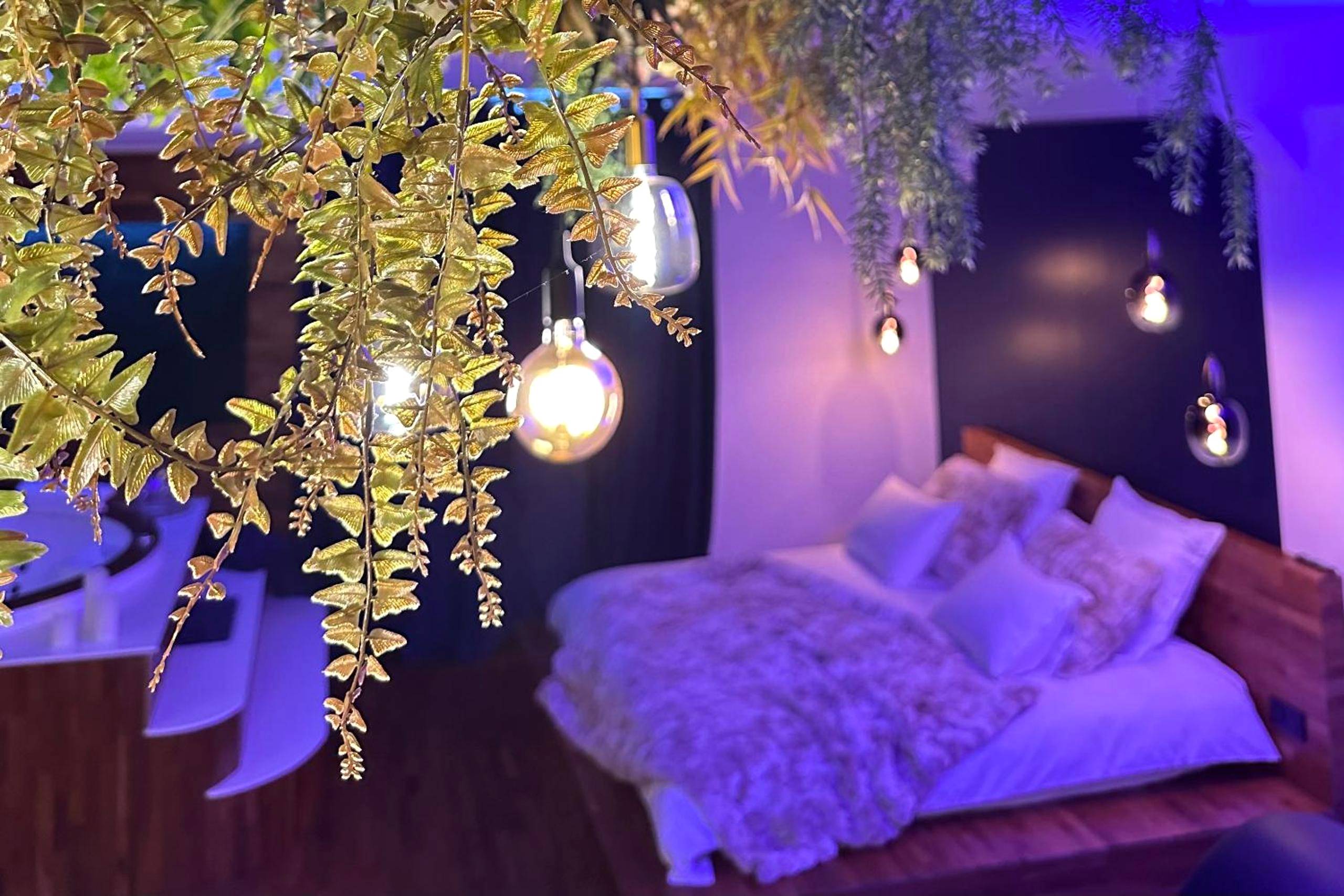 Photo du logement - Love Room Cholet Le Double L - Cholet