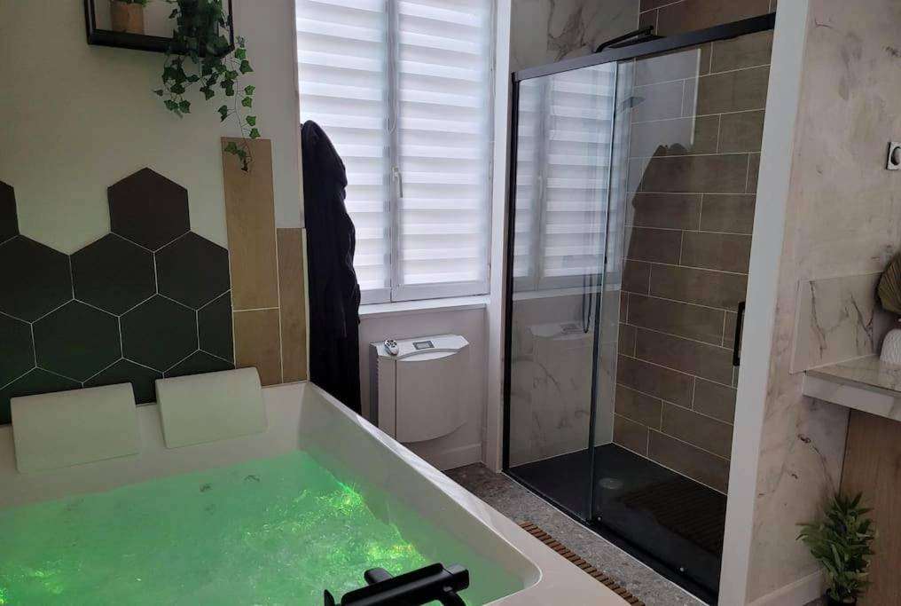 Photo du logement - LOVE ROOM, La Douce Angevine