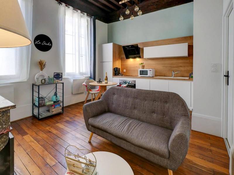 Salon avec canapé gris et cuisine ouverte - Le Duché - Séjour romantique avec balnéo privative - Dijon centre
