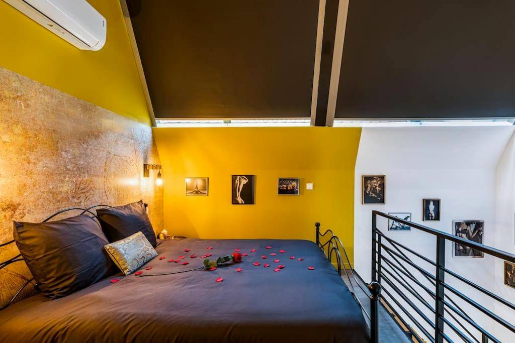 Photo du logement - Duplex coup de coeur - Bourgoin - Jallieu