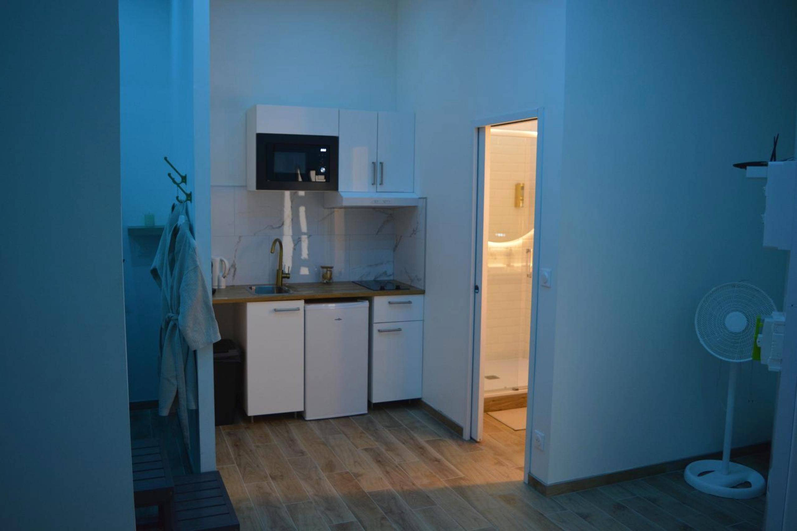 Kitchenette équipée avec micro - ondes et frigo - Eaux Spa