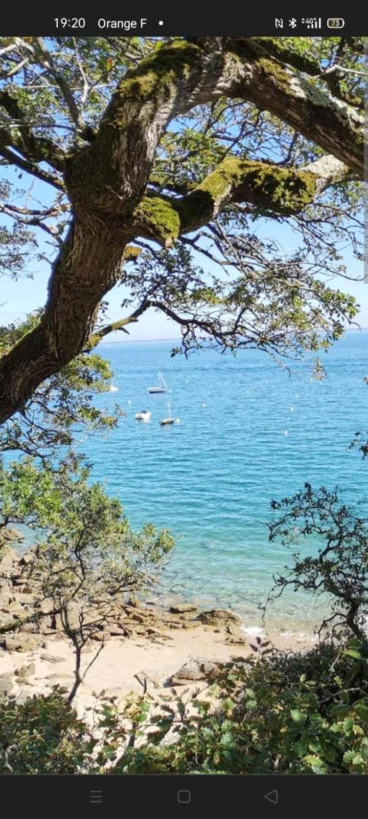 Photo du logement - L'échappée nocturne Nature et Zen