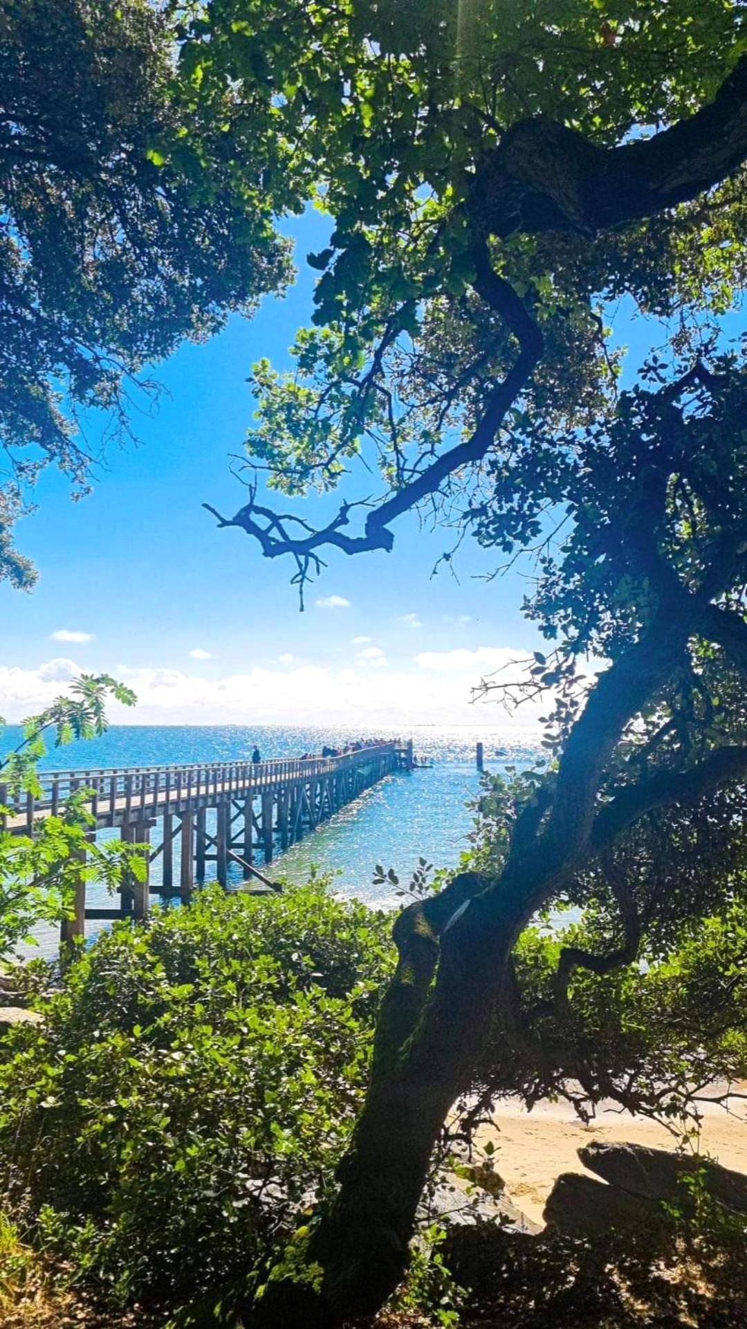Photo du logement - L'échappée nocturne Nature et Zen - La Guérinière