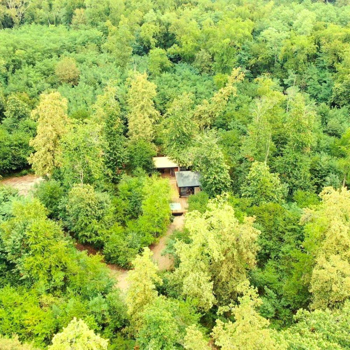 Photo du logement - Ecolodge So Wood 33 - Landiras