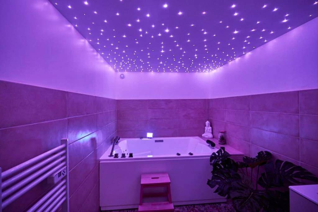 Photo du logement - L'Eden d'Aphrodite - Grenoble