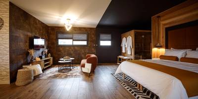 Espace de vie ouvert avec lit et coin salon - * L’Eden * Maison romantique avec balnéo et sauna