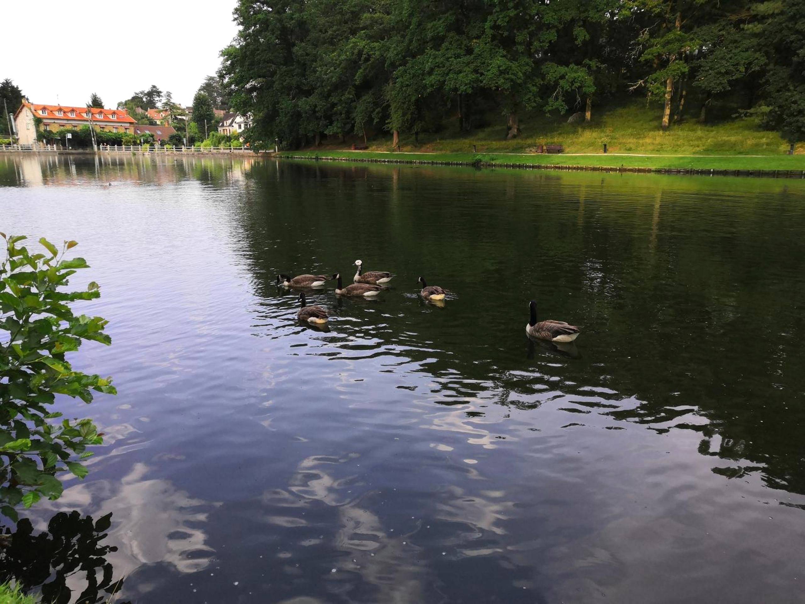 Photo du logement - L'Eden