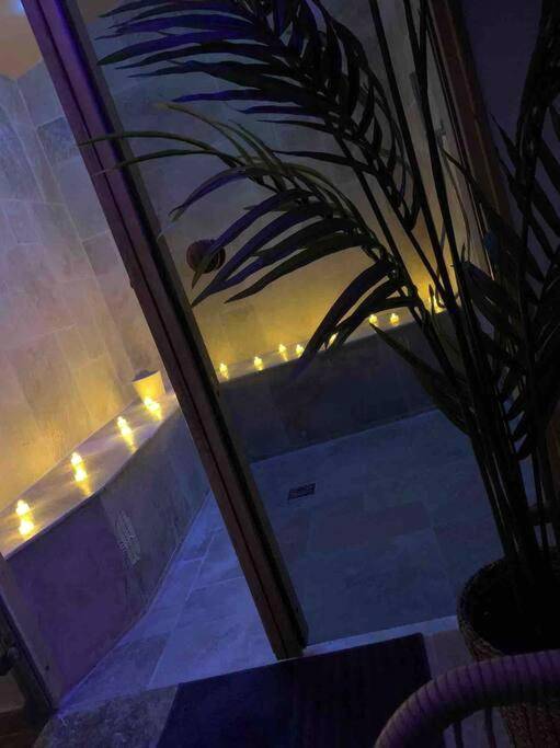 Photo du logement - Eden palm suite & spa - Berre - l'Étang