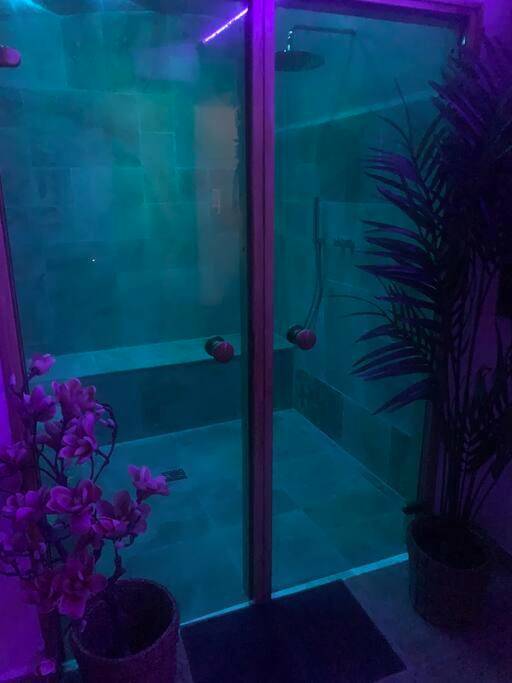 Douche à l'italienne avec ambiance tamisée - Eden palm suite & spa