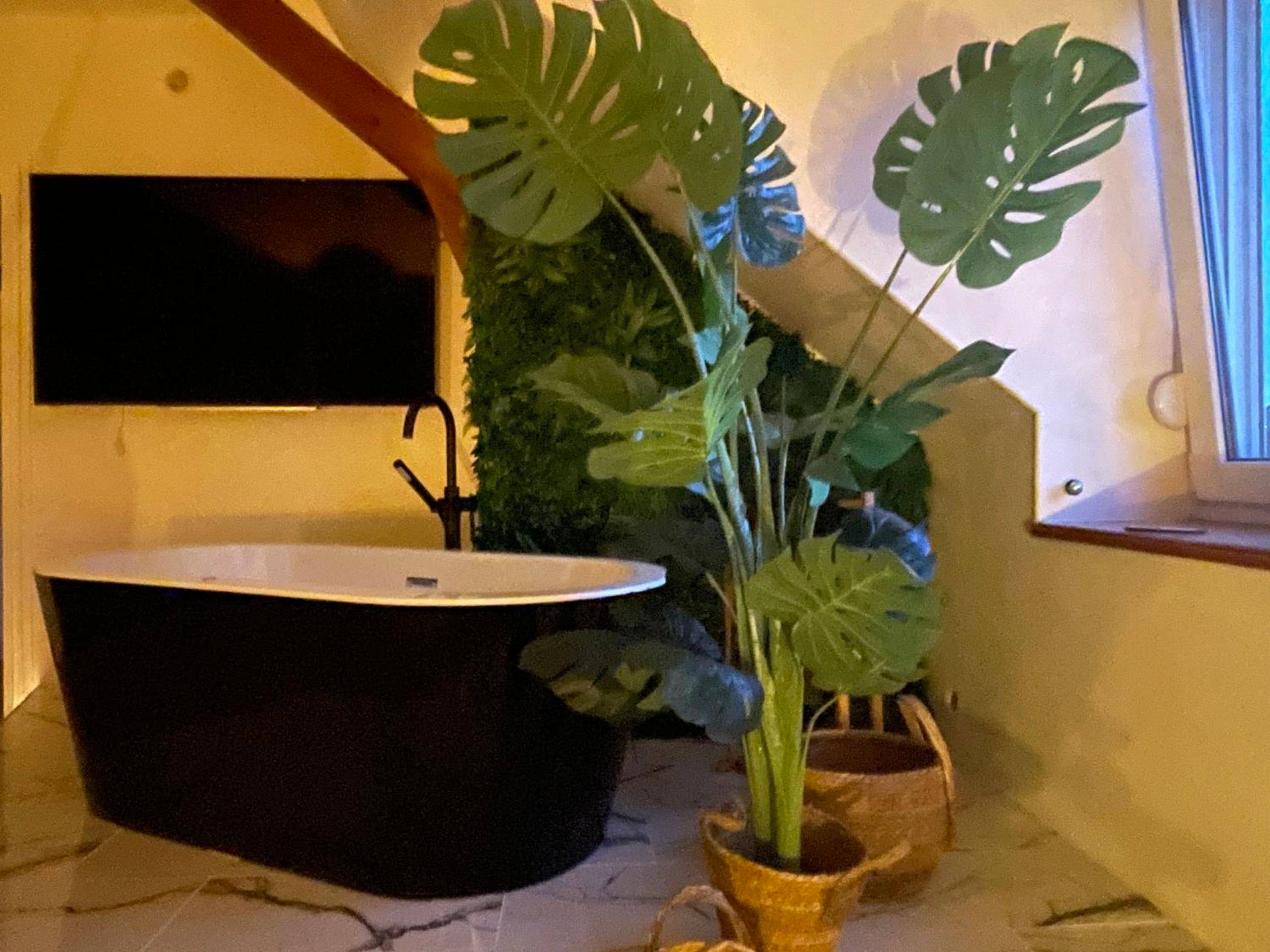 Photo du logement - El Circo Gambetta,sublime suite balnéo hypercentre - Épernay