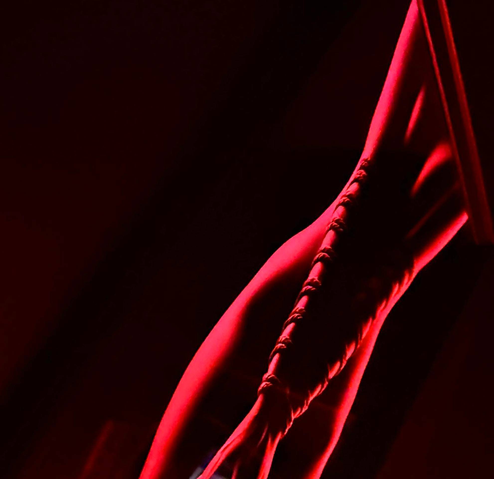 Photo du logement - Love Room Elixir du désir