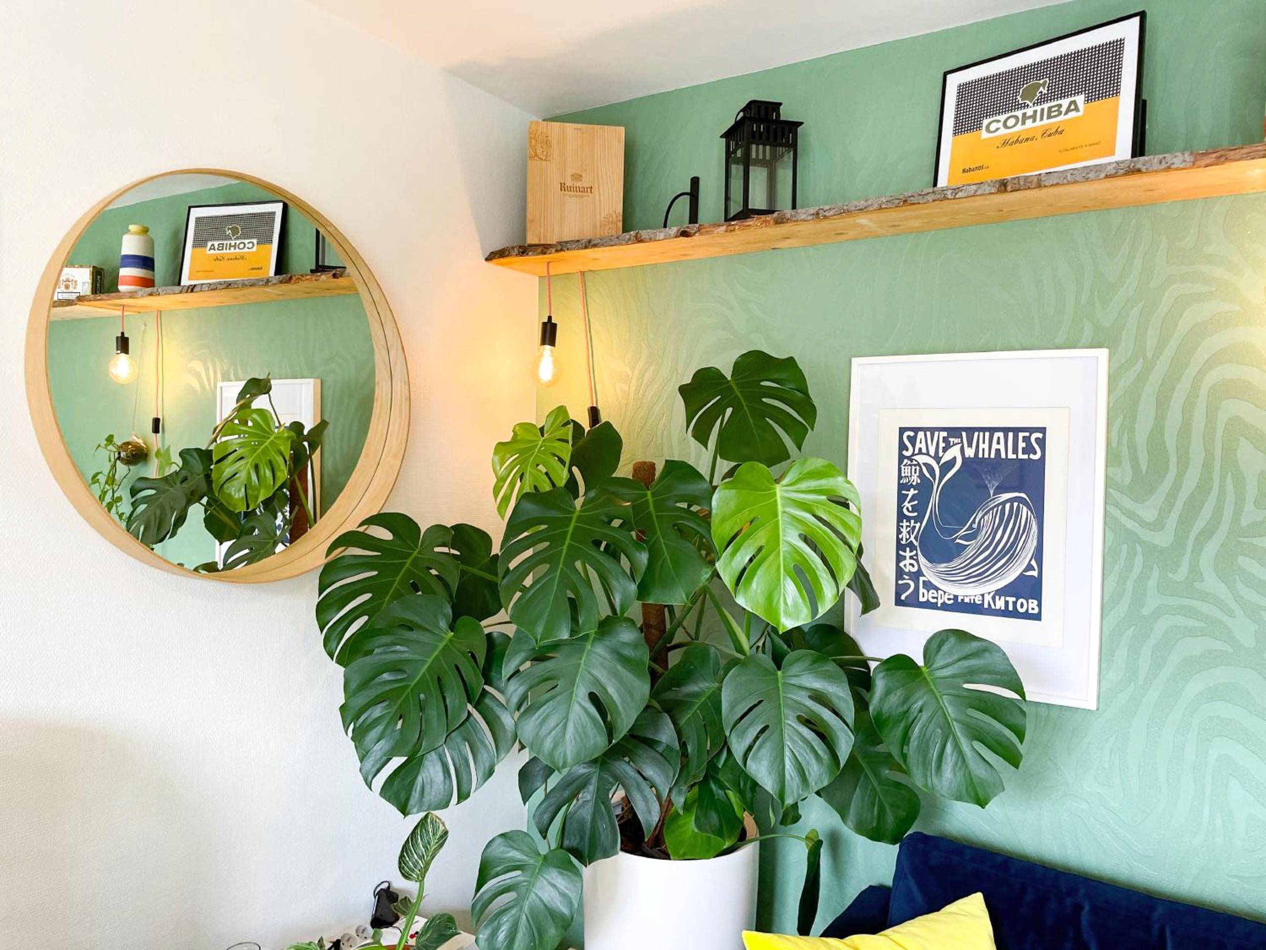 Photo du logement - Votre Escale Boule d Or Sauna & Spa