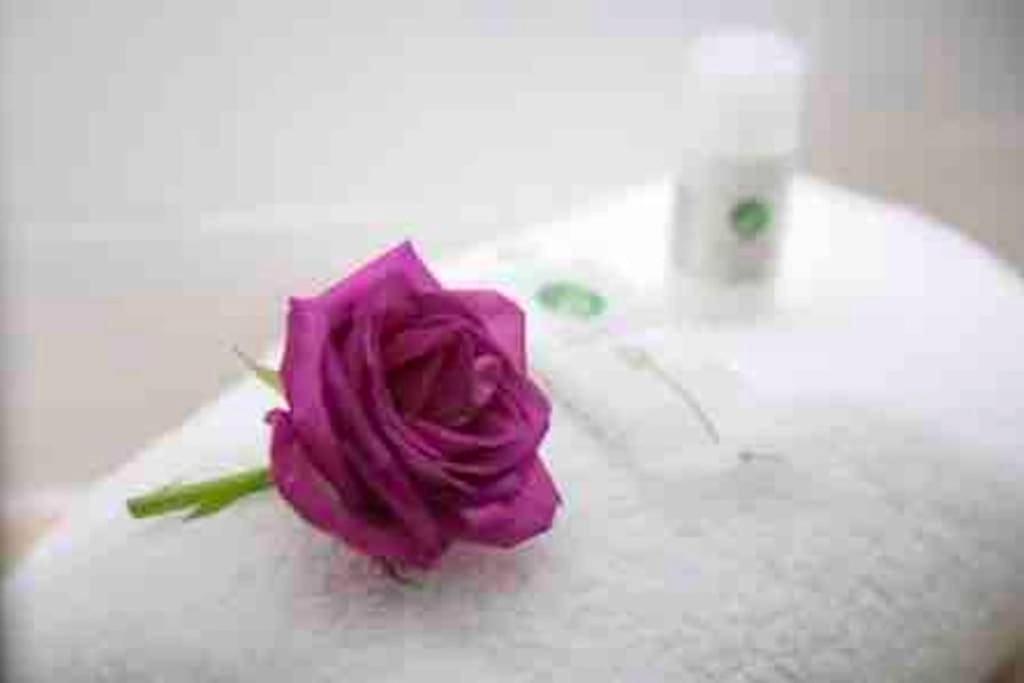 Photo du logement - Escale Caux Cooning**** Charme et Balneo Etretat - Étretat