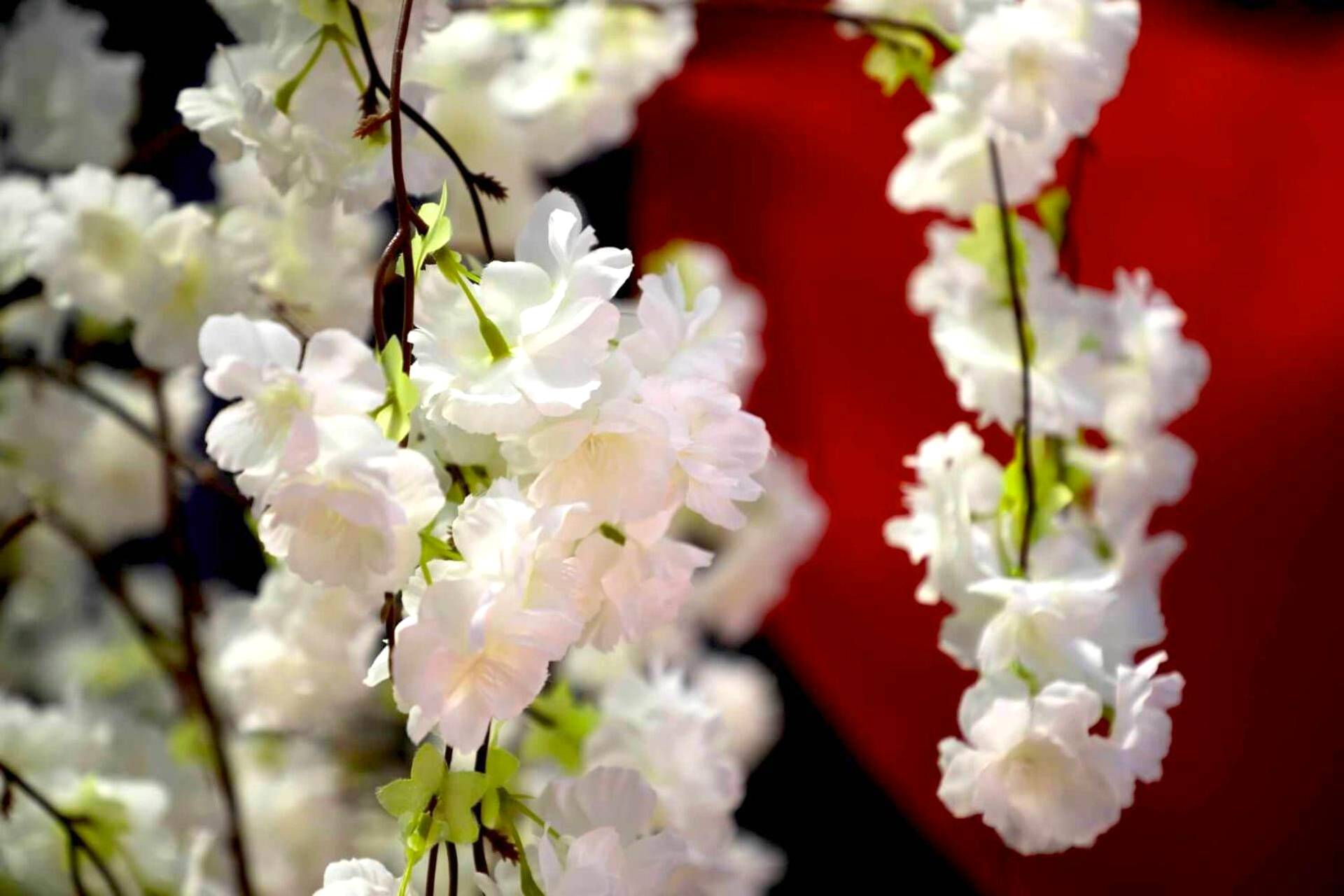 Fleurs blanches décoratives - Escale Cocooning