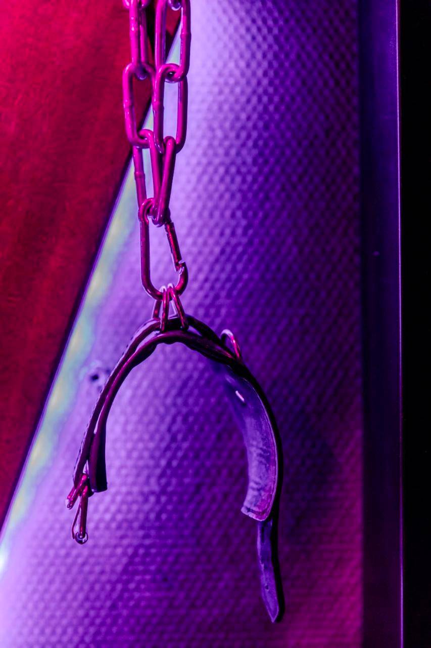 Photo - Love Room Escale du Desir - Balançoire d'amour, Croix de Saint André, Menottes et Fauteuil Tantra by DESIR ROOMS