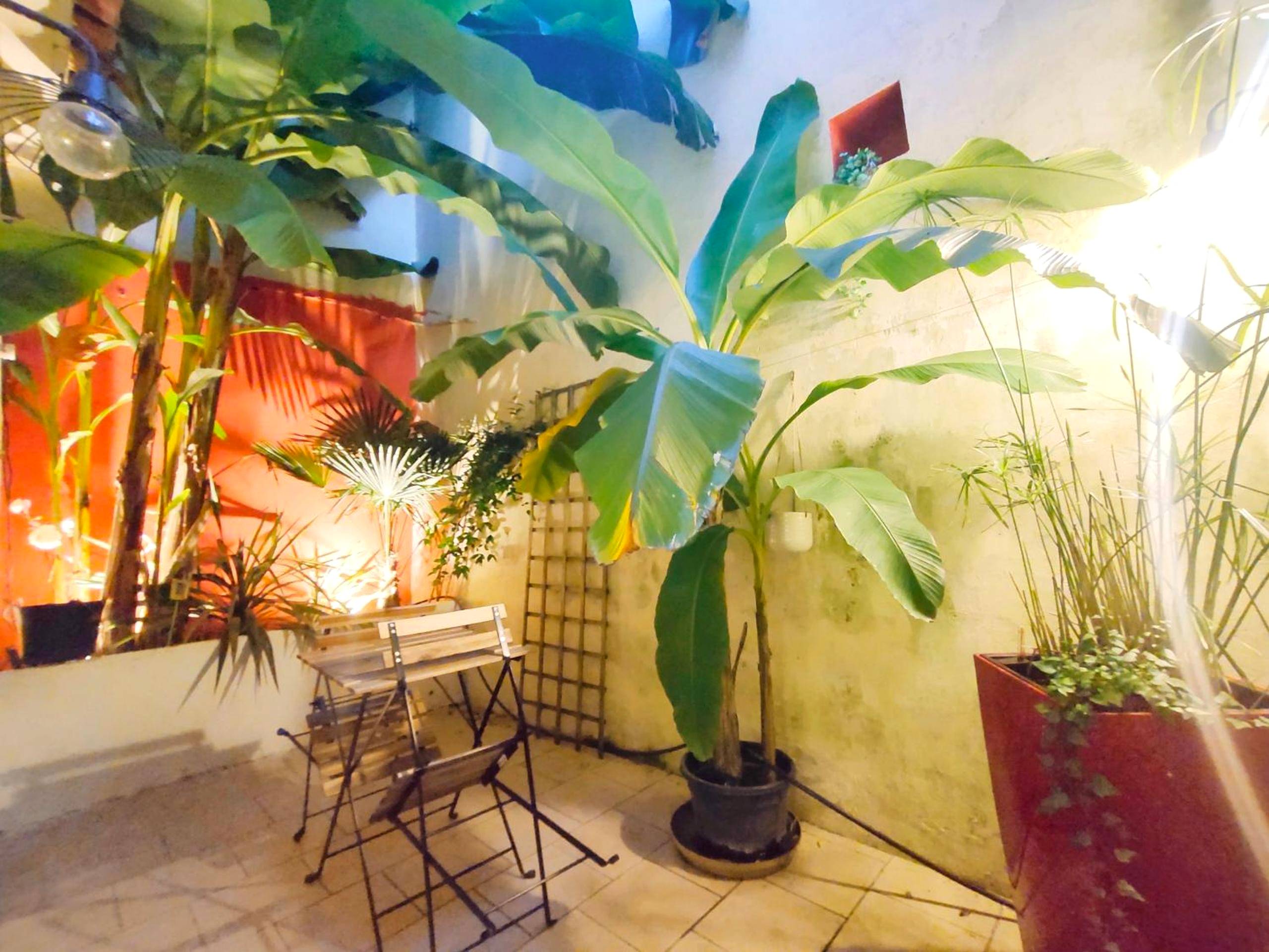 Photo du logement - Votre Escale Jungle Sauna & Spa - Niort