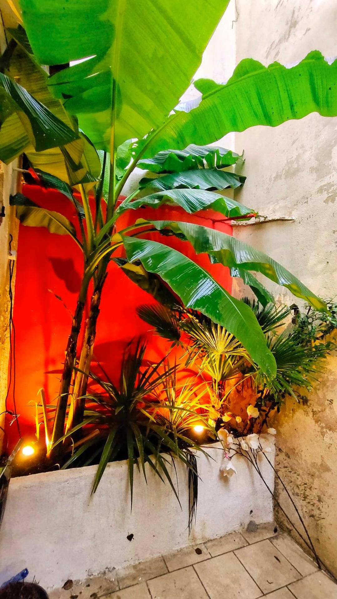 Photo du logement - Votre Escale Jungle Sauna & Spa - Niort