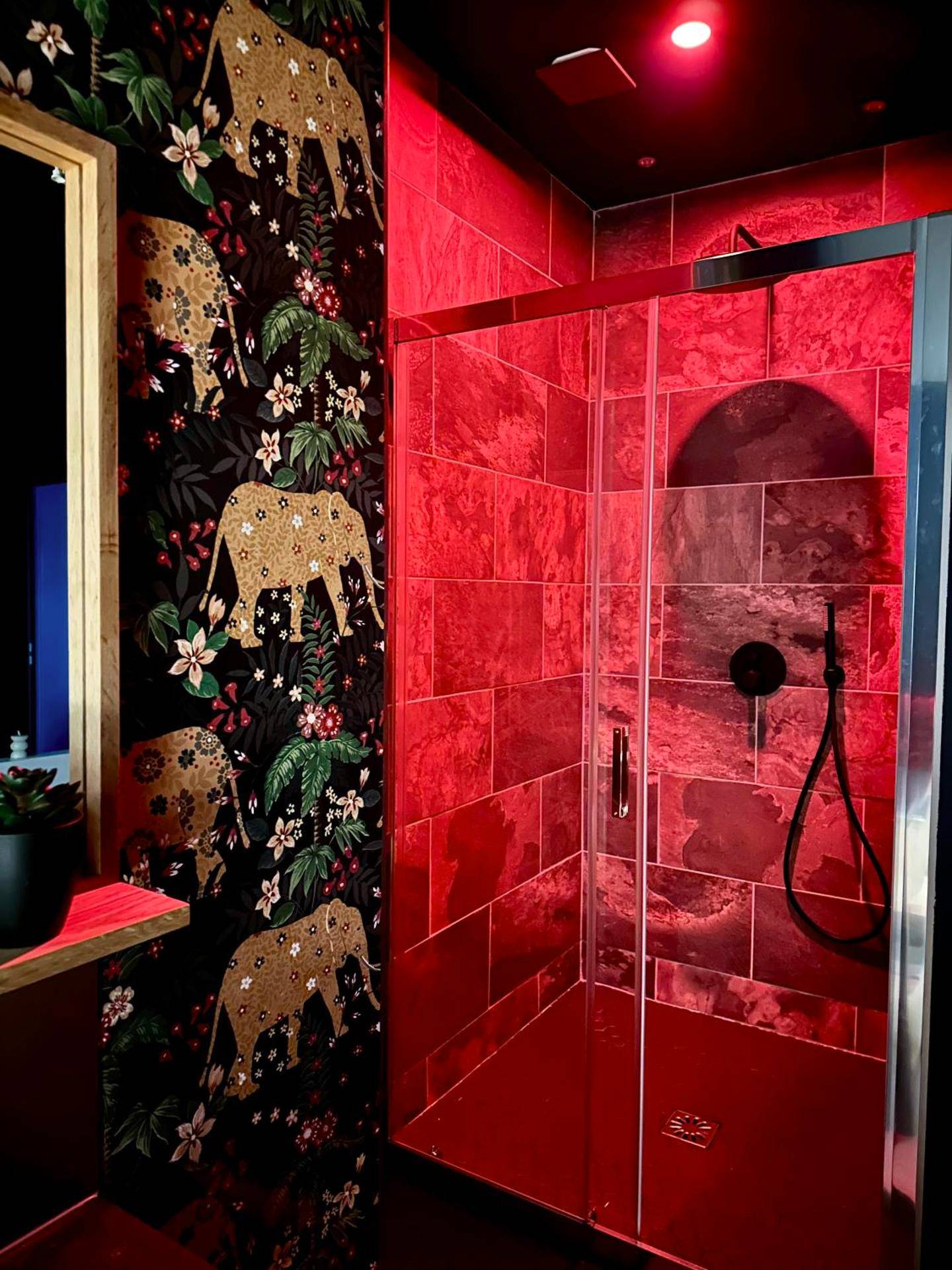 Photo du logement - Escale Singulière - Luxe & balnéo à Sète - Sète