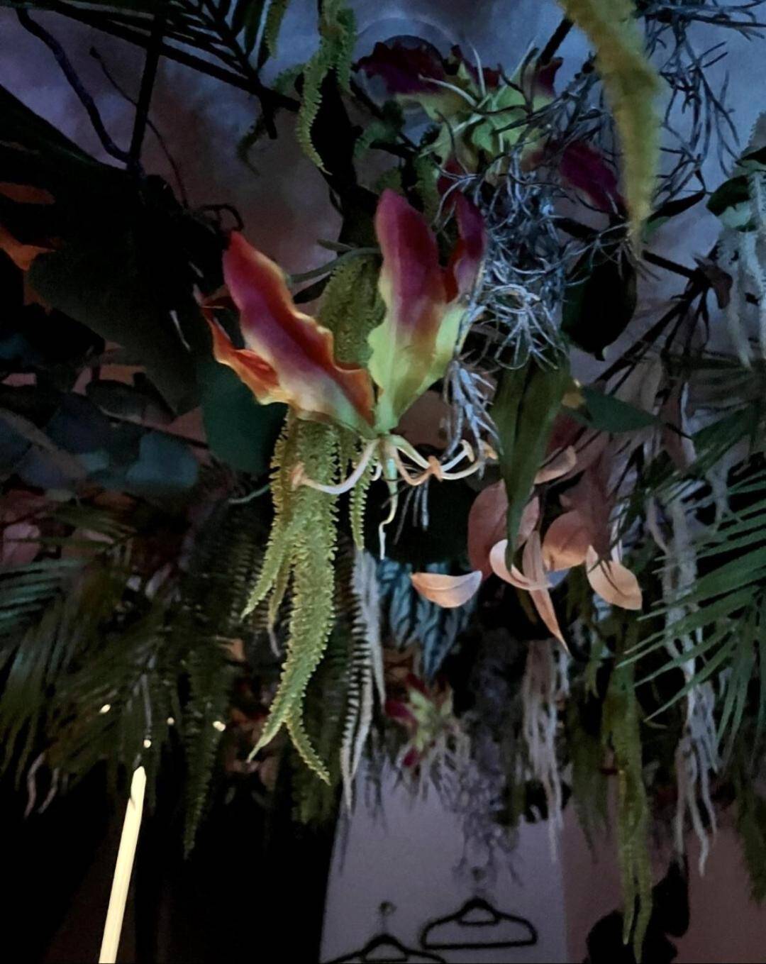 Photo du logement - Spa - Sauna - Ciel de pluie tropicale - Champagne Nuit Romantique - Escapade Mâconnaise