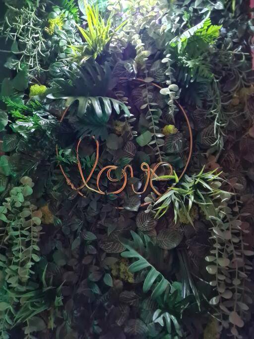 Photo du logement - Spa - Sauna - Ciel de pluie tropicale - Champagne Nuit Romantique - Escapade Mâconnaise