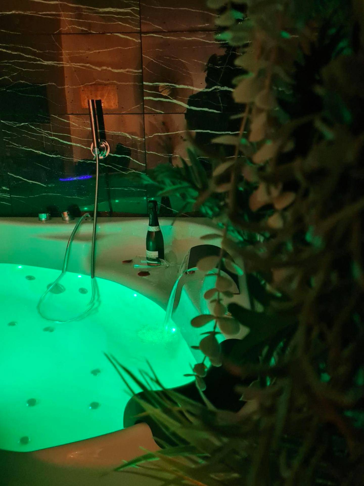 Photo du logement - Spa - Sauna - Ciel de pluie tropicale - Champagne Nuit Romantique - Escapade Mâconnaise