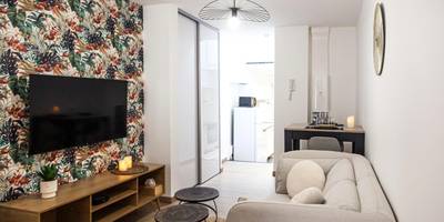 Salon avec canapé gris et grand écran TV - L'Escapade - Hypercentre - Spa - parking privé - tout équipé