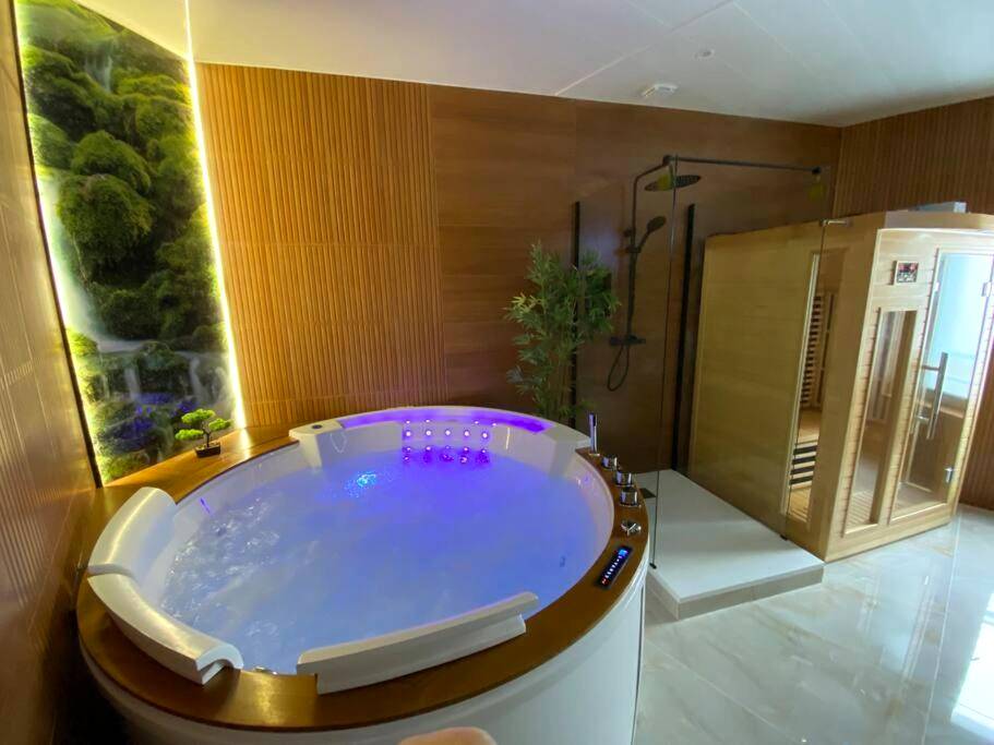 Espace bien - être avec jacuzzi, douche et sauna - Esprit BALI ....LOVE SPA, Sauna de luxe à Mulhouse