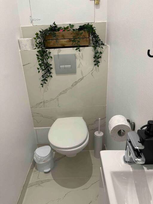 Photo du logement - Esprit BALI ....LOVE SPA, Sauna de luxe à Mulhouse