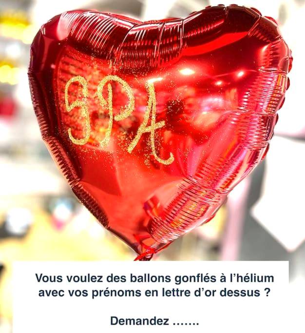 Photo du logement - SPA Romantique ... Esprit LOVE