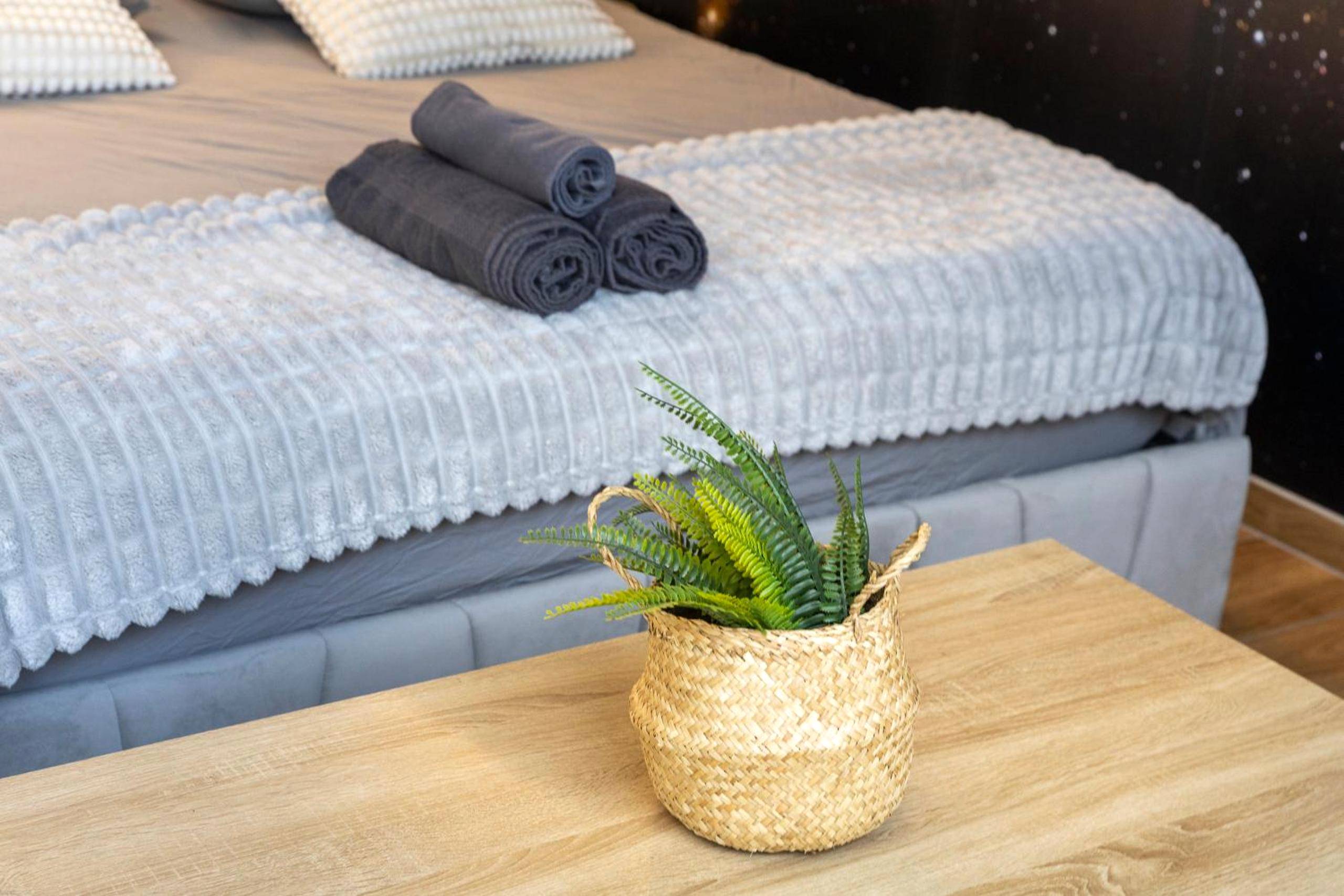 Photo du logement - L'étoilé Strasbourg Jacuzzi Détente & Confort - Strasbourg