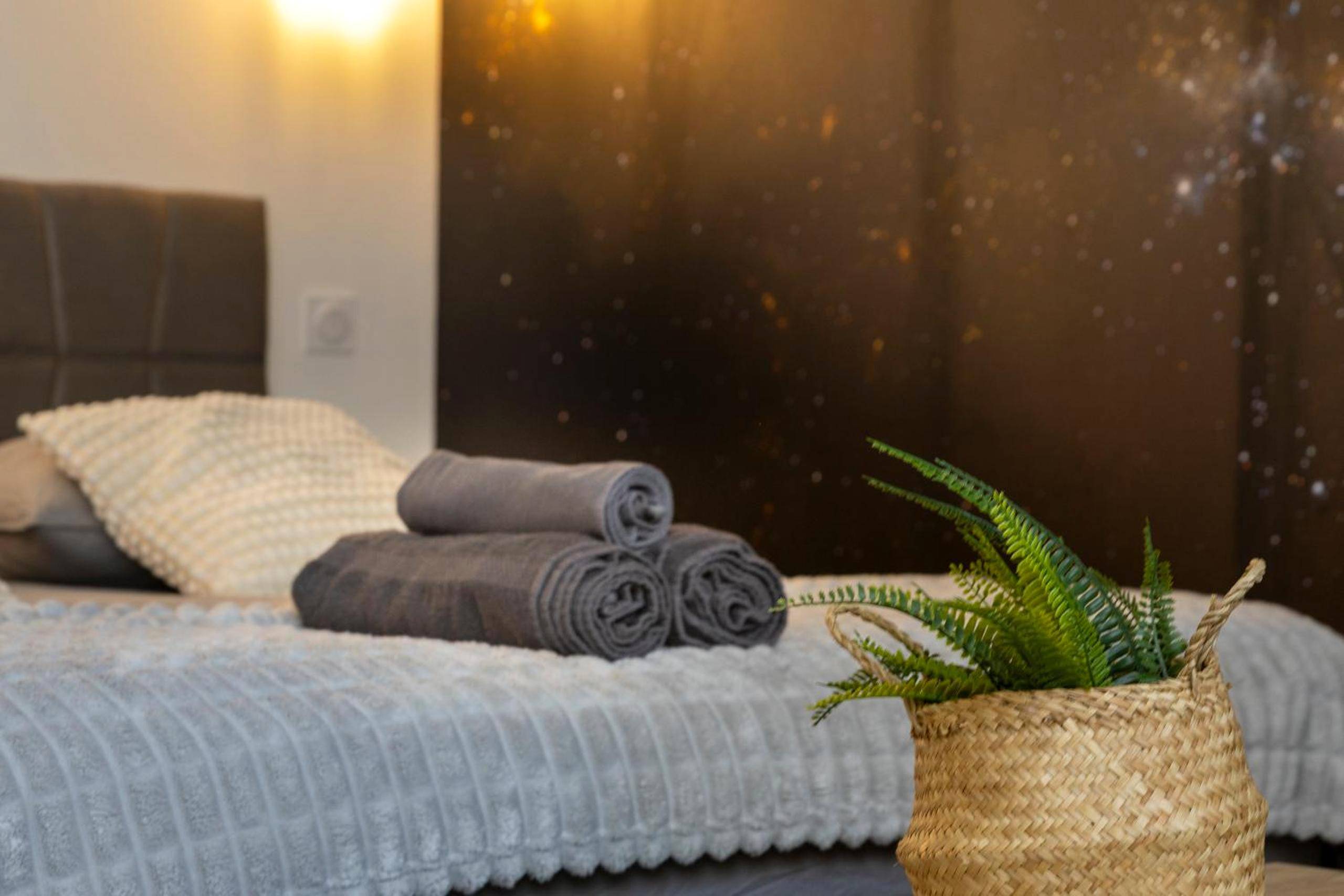 Photo du logement - L'étoilé Strasbourg Jacuzzi Détente & Confort