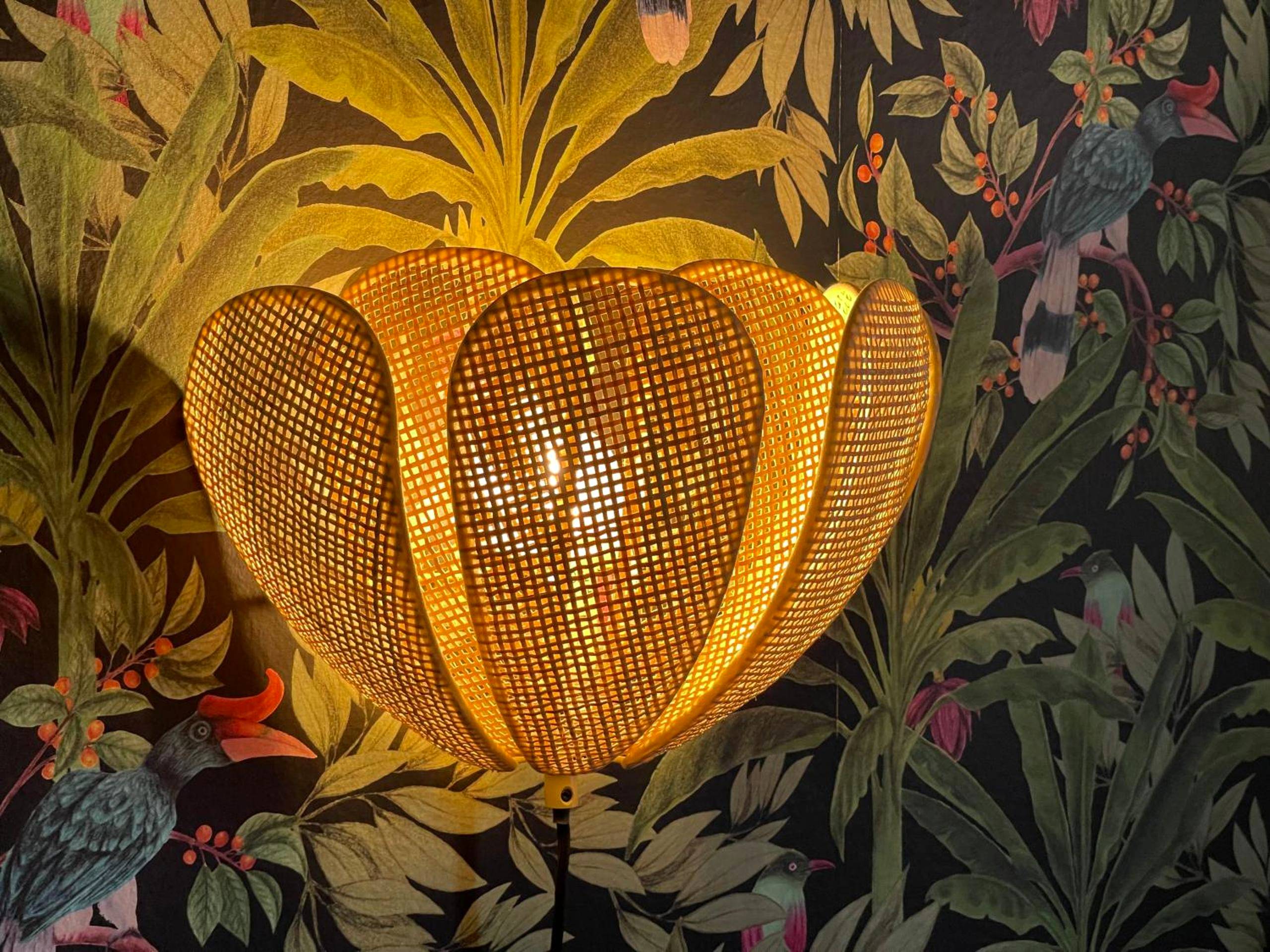 Photo du logement - Évasion exotique - Suite Selva - Jaccuzzi privatif - Amiens