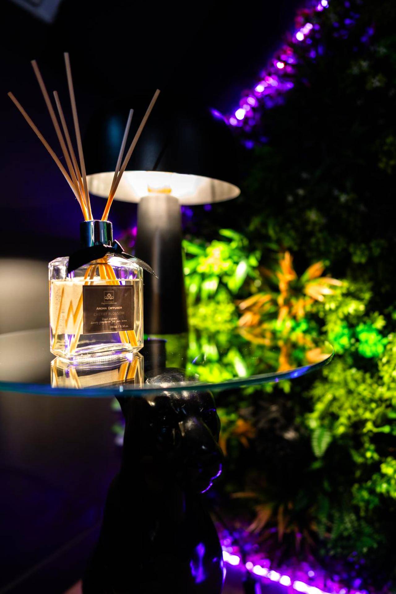 Photo du logement - L'Évasion, Romantisme, volupté & jacuzzi - Saumur