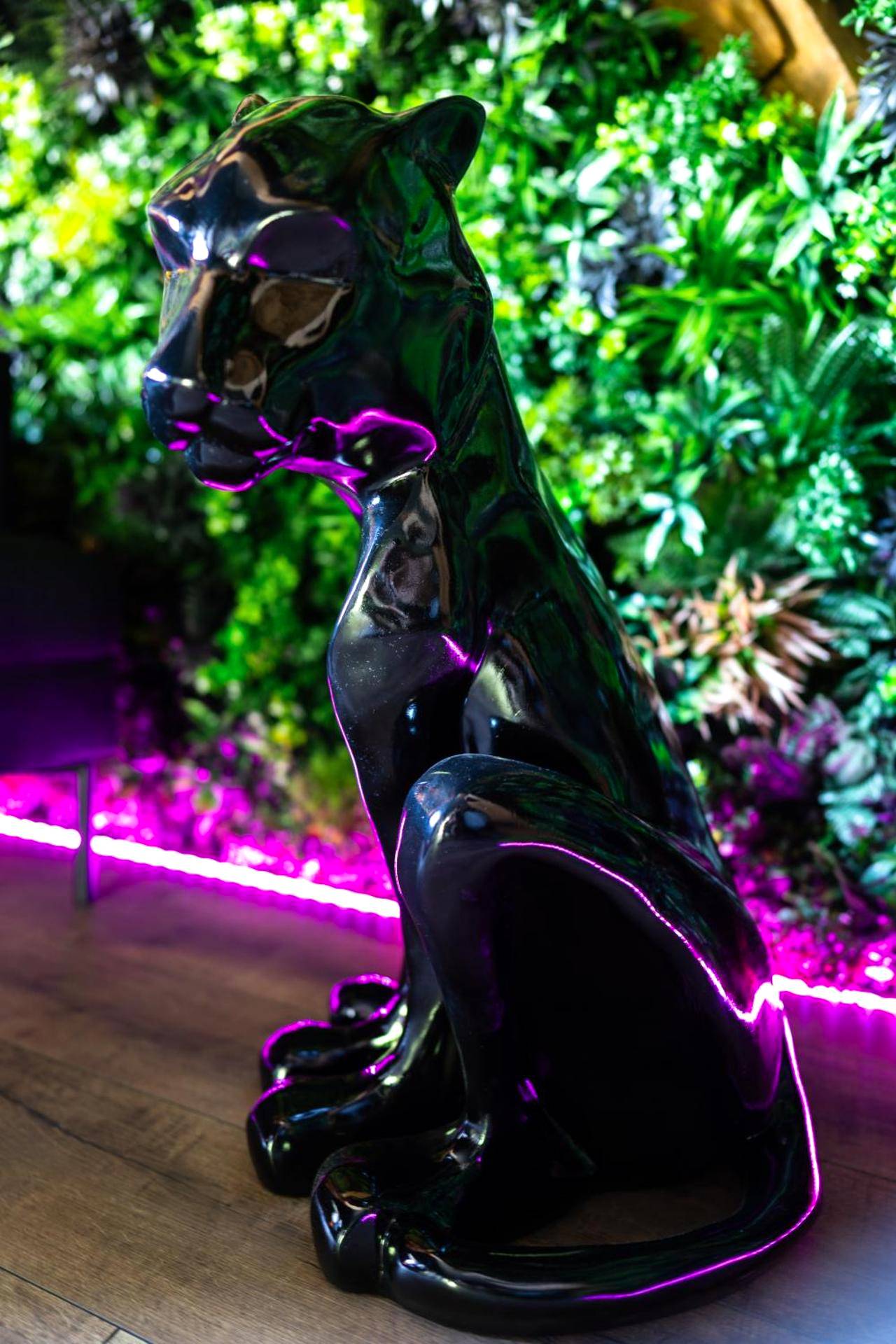 Photo du logement - L'Évasion, Romantisme, volupté & jacuzzi