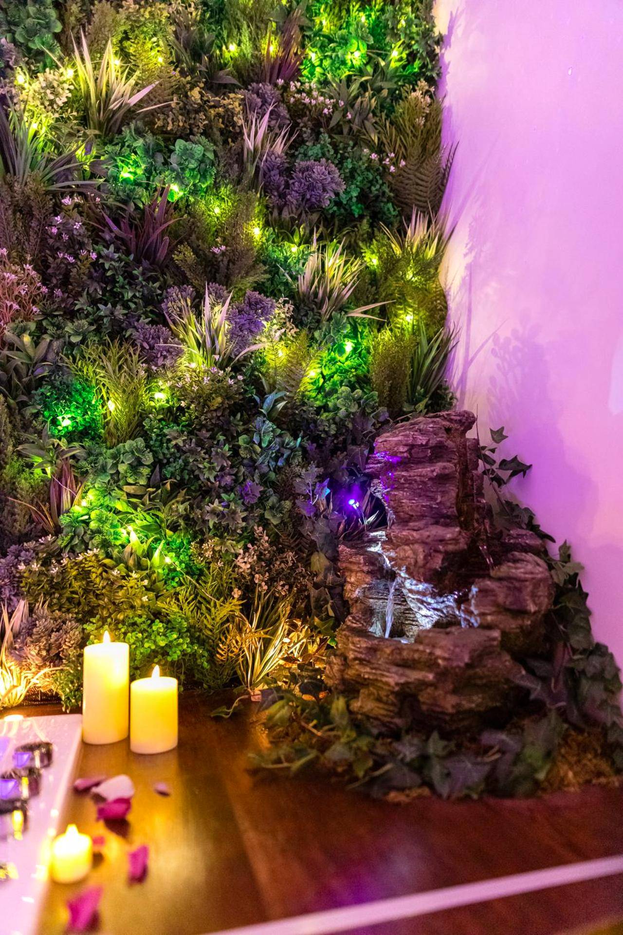 Photo du logement - Appartement L'Évasion Nature - Troyes