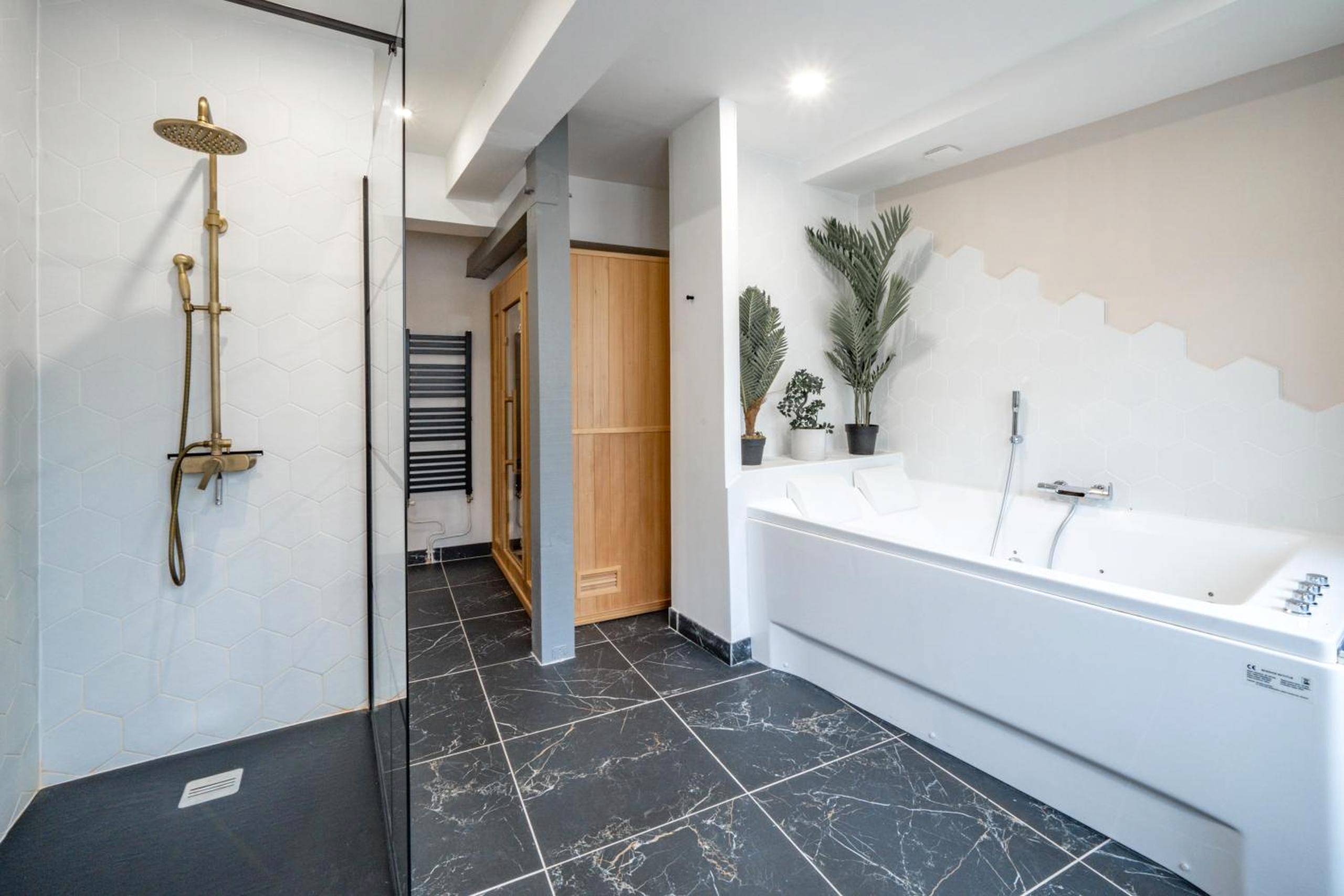 Photo du logement - L'Evasion Amboise, Sauna Jacuzzi