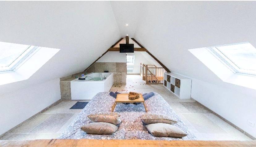 Photo du logement - L'évasion - SPA - Hammam - Sauna Illimité - 2 à 4 pers - Saint - Cyr - sur - Loire