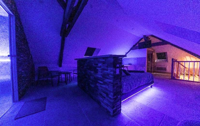 Photo du logement - L'évasion - SPA - Hammam - Sauna Illimité - 2 à 4 pers - Saint - Cyr - sur - Loire