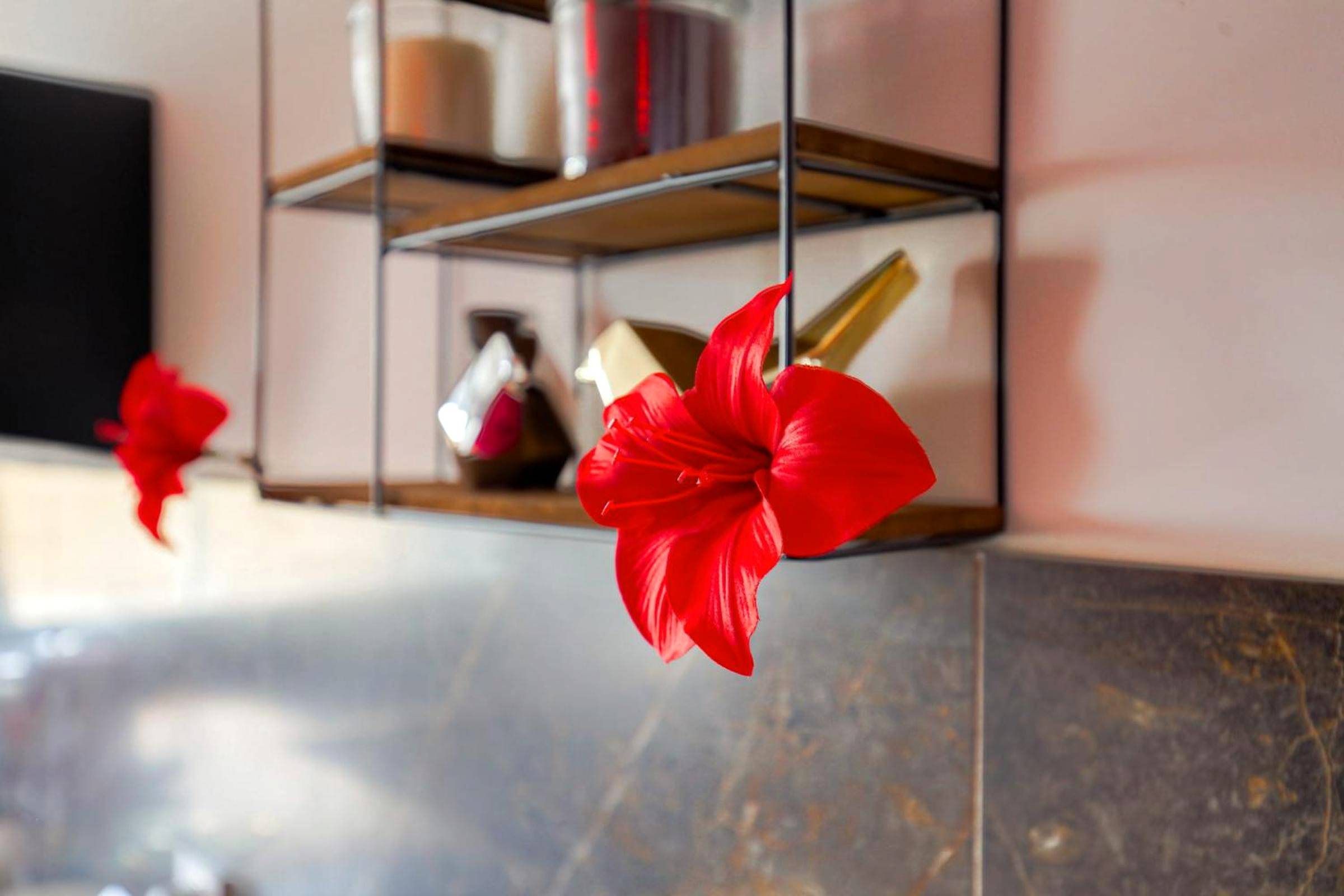 Photo du logement - Expérience des sens